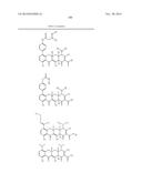 METHODS OF USING SUBSTITUTED TETRACYCLINE COMPOUNDS TO MODULATE RNA diagram and image