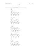 METHODS OF USING SUBSTITUTED TETRACYCLINE COMPOUNDS TO MODULATE RNA diagram and image