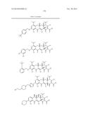 METHODS OF USING SUBSTITUTED TETRACYCLINE COMPOUNDS TO MODULATE RNA diagram and image