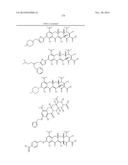 METHODS OF USING SUBSTITUTED TETRACYCLINE COMPOUNDS TO MODULATE RNA diagram and image