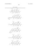 METHODS OF USING SUBSTITUTED TETRACYCLINE COMPOUNDS TO MODULATE RNA diagram and image