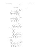 METHODS OF USING SUBSTITUTED TETRACYCLINE COMPOUNDS TO MODULATE RNA diagram and image