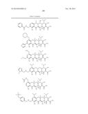 METHODS OF USING SUBSTITUTED TETRACYCLINE COMPOUNDS TO MODULATE RNA diagram and image