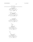 METHODS OF USING SUBSTITUTED TETRACYCLINE COMPOUNDS TO MODULATE RNA diagram and image