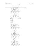 METHODS OF USING SUBSTITUTED TETRACYCLINE COMPOUNDS TO MODULATE RNA diagram and image