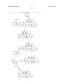 METHODS OF USING SUBSTITUTED TETRACYCLINE COMPOUNDS TO MODULATE RNA diagram and image