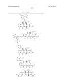 METHODS OF USING SUBSTITUTED TETRACYCLINE COMPOUNDS TO MODULATE RNA diagram and image