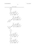 METHODS OF USING SUBSTITUTED TETRACYCLINE COMPOUNDS TO MODULATE RNA diagram and image