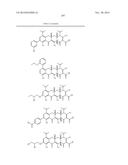 METHODS OF USING SUBSTITUTED TETRACYCLINE COMPOUNDS TO MODULATE RNA diagram and image