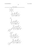 METHODS OF USING SUBSTITUTED TETRACYCLINE COMPOUNDS TO MODULATE RNA diagram and image