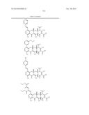 METHODS OF USING SUBSTITUTED TETRACYCLINE COMPOUNDS TO MODULATE RNA diagram and image