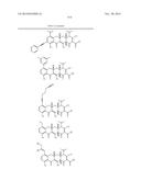 METHODS OF USING SUBSTITUTED TETRACYCLINE COMPOUNDS TO MODULATE RNA diagram and image