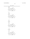 METHODS OF USING SUBSTITUTED TETRACYCLINE COMPOUNDS TO MODULATE RNA diagram and image