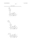 METHODS OF USING SUBSTITUTED TETRACYCLINE COMPOUNDS TO MODULATE RNA diagram and image