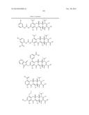 METHODS OF USING SUBSTITUTED TETRACYCLINE COMPOUNDS TO MODULATE RNA diagram and image