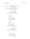 METHODS OF USING SUBSTITUTED TETRACYCLINE COMPOUNDS TO MODULATE RNA diagram and image