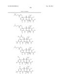 METHODS OF USING SUBSTITUTED TETRACYCLINE COMPOUNDS TO MODULATE RNA diagram and image