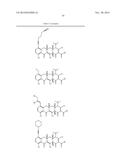 METHODS OF USING SUBSTITUTED TETRACYCLINE COMPOUNDS TO MODULATE RNA diagram and image