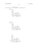 METHODS OF USING SUBSTITUTED TETRACYCLINE COMPOUNDS TO MODULATE RNA diagram and image