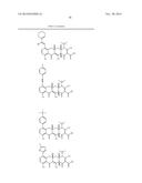 METHODS OF USING SUBSTITUTED TETRACYCLINE COMPOUNDS TO MODULATE RNA diagram and image