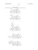 METHODS OF USING SUBSTITUTED TETRACYCLINE COMPOUNDS TO MODULATE RNA diagram and image