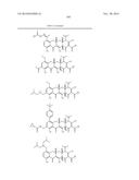 METHODS OF USING SUBSTITUTED TETRACYCLINE COMPOUNDS TO MODULATE RNA diagram and image