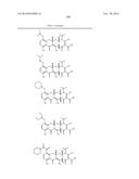 METHODS OF USING SUBSTITUTED TETRACYCLINE COMPOUNDS TO MODULATE RNA diagram and image