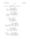 METHODS OF USING SUBSTITUTED TETRACYCLINE COMPOUNDS TO MODULATE RNA diagram and image