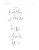 METHODS OF USING SUBSTITUTED TETRACYCLINE COMPOUNDS TO MODULATE RNA diagram and image