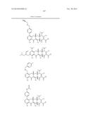 METHODS OF USING SUBSTITUTED TETRACYCLINE COMPOUNDS TO MODULATE RNA diagram and image