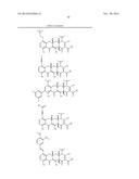 METHODS OF USING SUBSTITUTED TETRACYCLINE COMPOUNDS TO MODULATE RNA diagram and image