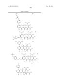 METHODS OF USING SUBSTITUTED TETRACYCLINE COMPOUNDS TO MODULATE RNA diagram and image