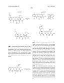 METHODS OF USING SUBSTITUTED TETRACYCLINE COMPOUNDS TO MODULATE RNA diagram and image