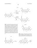 METHODS OF USING SUBSTITUTED TETRACYCLINE COMPOUNDS TO MODULATE RNA diagram and image