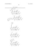 METHODS OF USING SUBSTITUTED TETRACYCLINE COMPOUNDS TO MODULATE RNA diagram and image