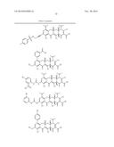 METHODS OF USING SUBSTITUTED TETRACYCLINE COMPOUNDS TO MODULATE RNA diagram and image