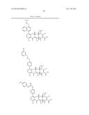 METHODS OF USING SUBSTITUTED TETRACYCLINE COMPOUNDS TO MODULATE RNA diagram and image