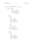 METHODS OF USING SUBSTITUTED TETRACYCLINE COMPOUNDS TO MODULATE RNA diagram and image