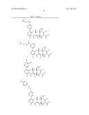 METHODS OF USING SUBSTITUTED TETRACYCLINE COMPOUNDS TO MODULATE RNA diagram and image