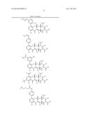 METHODS OF USING SUBSTITUTED TETRACYCLINE COMPOUNDS TO MODULATE RNA diagram and image