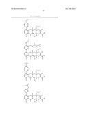 METHODS OF USING SUBSTITUTED TETRACYCLINE COMPOUNDS TO MODULATE RNA diagram and image