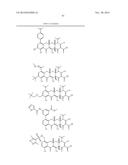 METHODS OF USING SUBSTITUTED TETRACYCLINE COMPOUNDS TO MODULATE RNA diagram and image