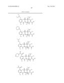 METHODS OF USING SUBSTITUTED TETRACYCLINE COMPOUNDS TO MODULATE RNA diagram and image