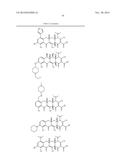 METHODS OF USING SUBSTITUTED TETRACYCLINE COMPOUNDS TO MODULATE RNA diagram and image