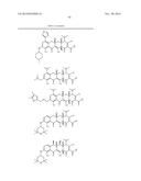 METHODS OF USING SUBSTITUTED TETRACYCLINE COMPOUNDS TO MODULATE RNA diagram and image