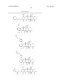 METHODS OF USING SUBSTITUTED TETRACYCLINE COMPOUNDS TO MODULATE RNA diagram and image