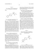 N-Link Hydroxamic Acid Derivatives Useful As Antibacterial Agents diagram and image