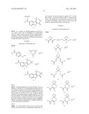 HEPATITIS C INHIBITOR COMPOUNDS diagram and image