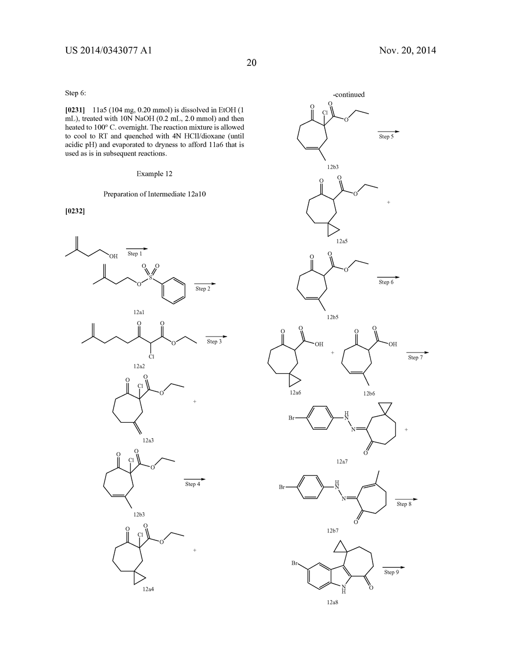 HEPATITIS C INHIBITOR COMPOUNDS - diagram, schematic, and image 21