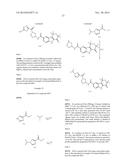 HEPATITIS C INHIBITOR COMPOUNDS diagram and image